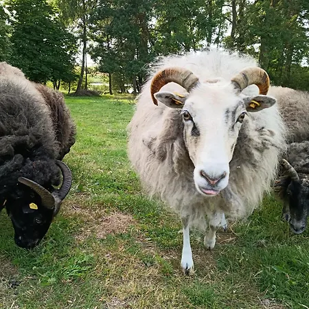 Ferien Am Schloss - 8 