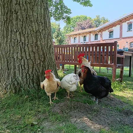 Ferien Am Schloss - 8 