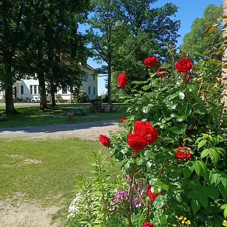 Lejlighed Ferien Am Schloss - 8 